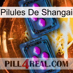 Shangai Pills 03